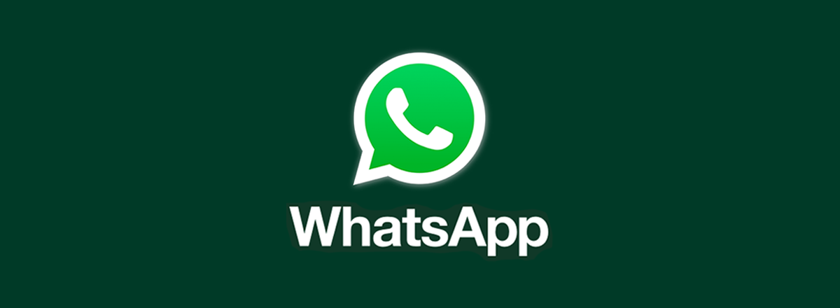 WhatsApp Is Working on a Newsletter Feature