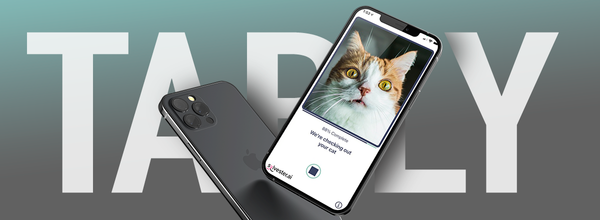 Sylvester.ai Developed an App That Determines Cats' Mood and Emotions