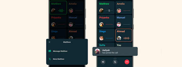 WhatsApp Lets People Mute Individual Users During Group Calls